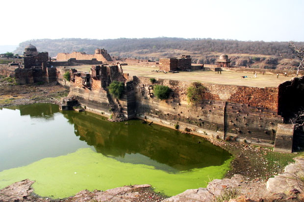 Ranthambore Fort in Ranthambore